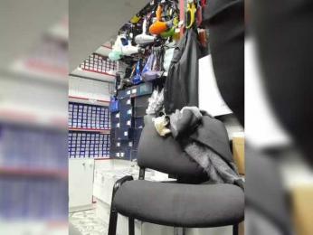 mery8poppins bongacams stream image