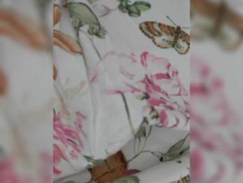 Anesteishen bongacams stream image