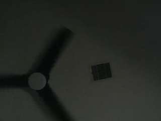 misszylahd camsoda stream image