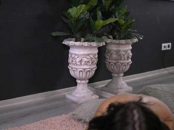 AvaMercer bongacams stream image