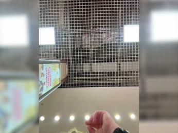 LiiBaby bongacams stream image