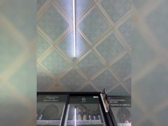 praesertim bongacams stream image