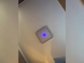 PALMIIRA bongacams stream image