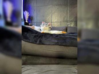 MagicMelody bongacams stream image