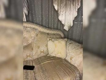 Meeeeow bongacams stream image