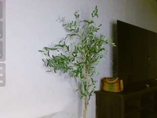 briannabrave camsoda stream image