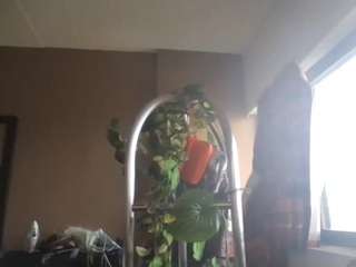 stalliontheesavage camsoda stream image