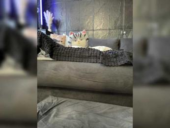 MagicMelody bongacams stream image