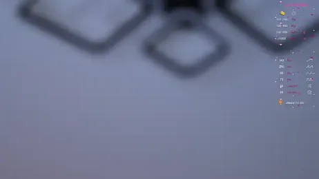 DarelHigbief stripchat stream image