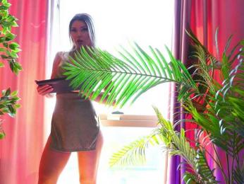 ArtTeasee bongacams stream image