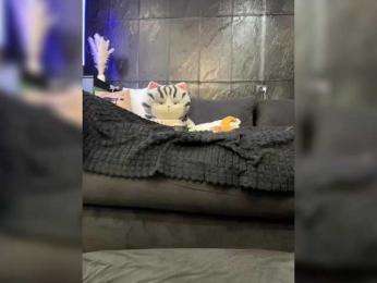 MagicMelody bongacams stream image