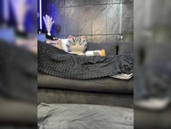 MagicMelody bongacams stream image