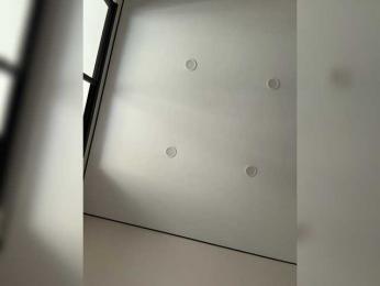 NorbertKlopp bongacams stream image