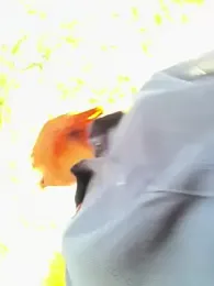 PurpleLinn stripchat stream image