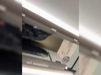 GAVKA_ bongacams stream image