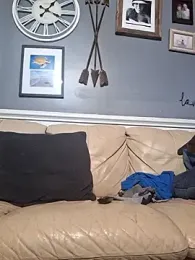 thickdaddy2982 stripchat stream image