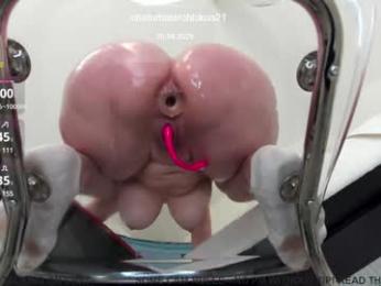 chickoa21 chaturbate stream image