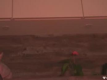 agent_blonde chaturbate stream image