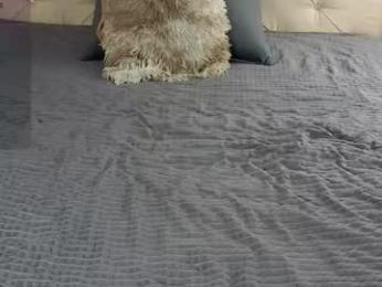 freyabyrne chaturbate stream image