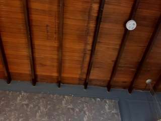 steffanybeckk camsoda stream image