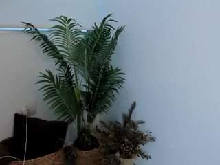 annwill camsoda stream image