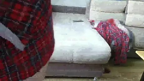 MilaaMilaa stripchat stream image