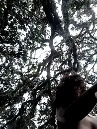 Simone_Miller stripchat stream image