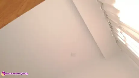 meowmajesty stripchat stream image