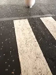 Secret_couple_ stripchat stream image