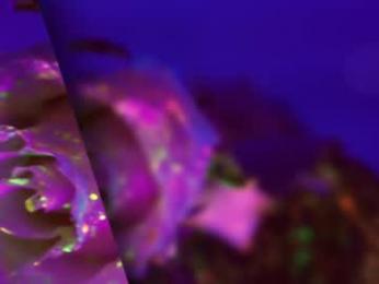 heybanan chaturbate stream image