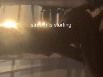 ocicat chaturbate stream image