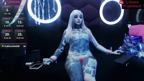 TyphoidMary stripchat stream image