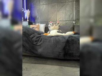 MagicMelody bongacams stream image