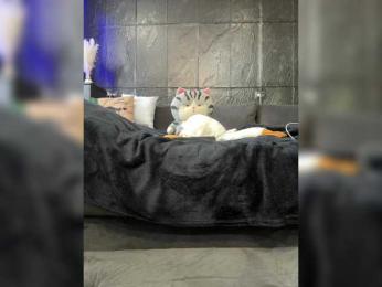 MagicMelody bongacams stream image