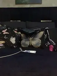 cardibabe stripchat stream image